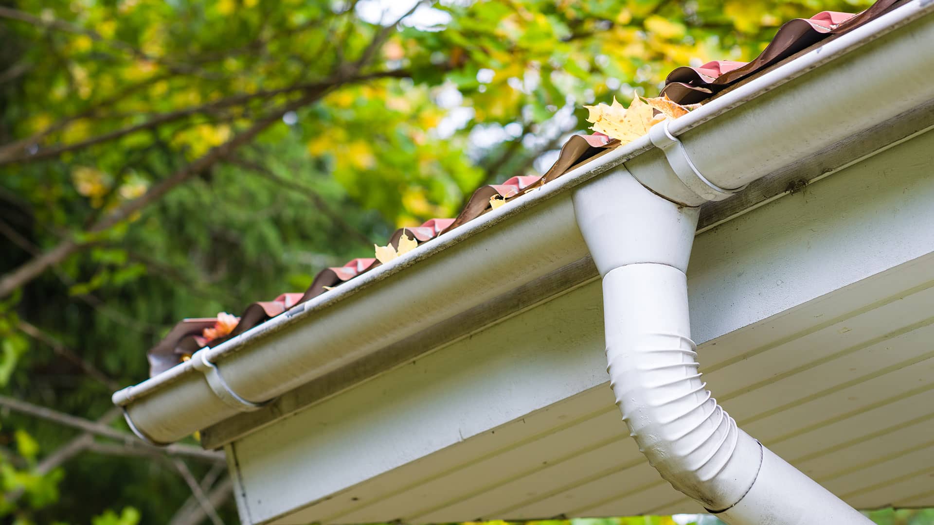 bg-gutters-pressure-washing-edmonds