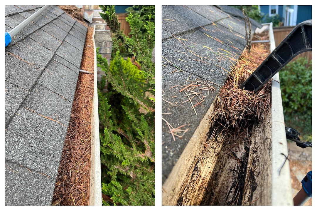 Morningside Gutter Cleaning In Progress Thumbnail