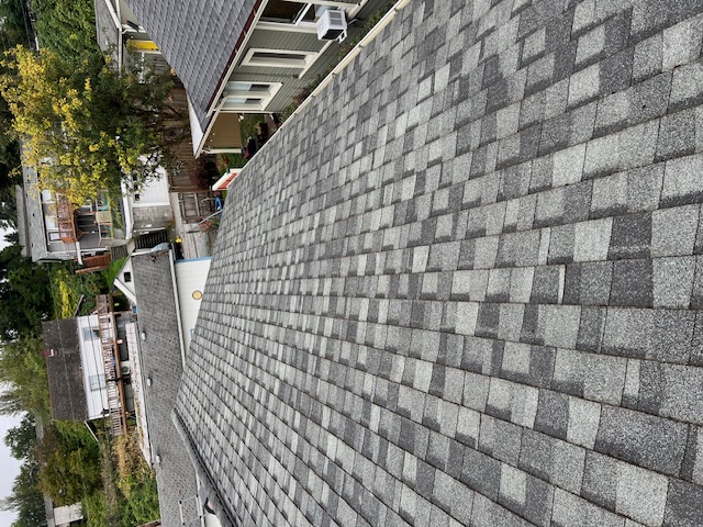 Prestine Moss Roof Cleaning in Everett Thumbnail
