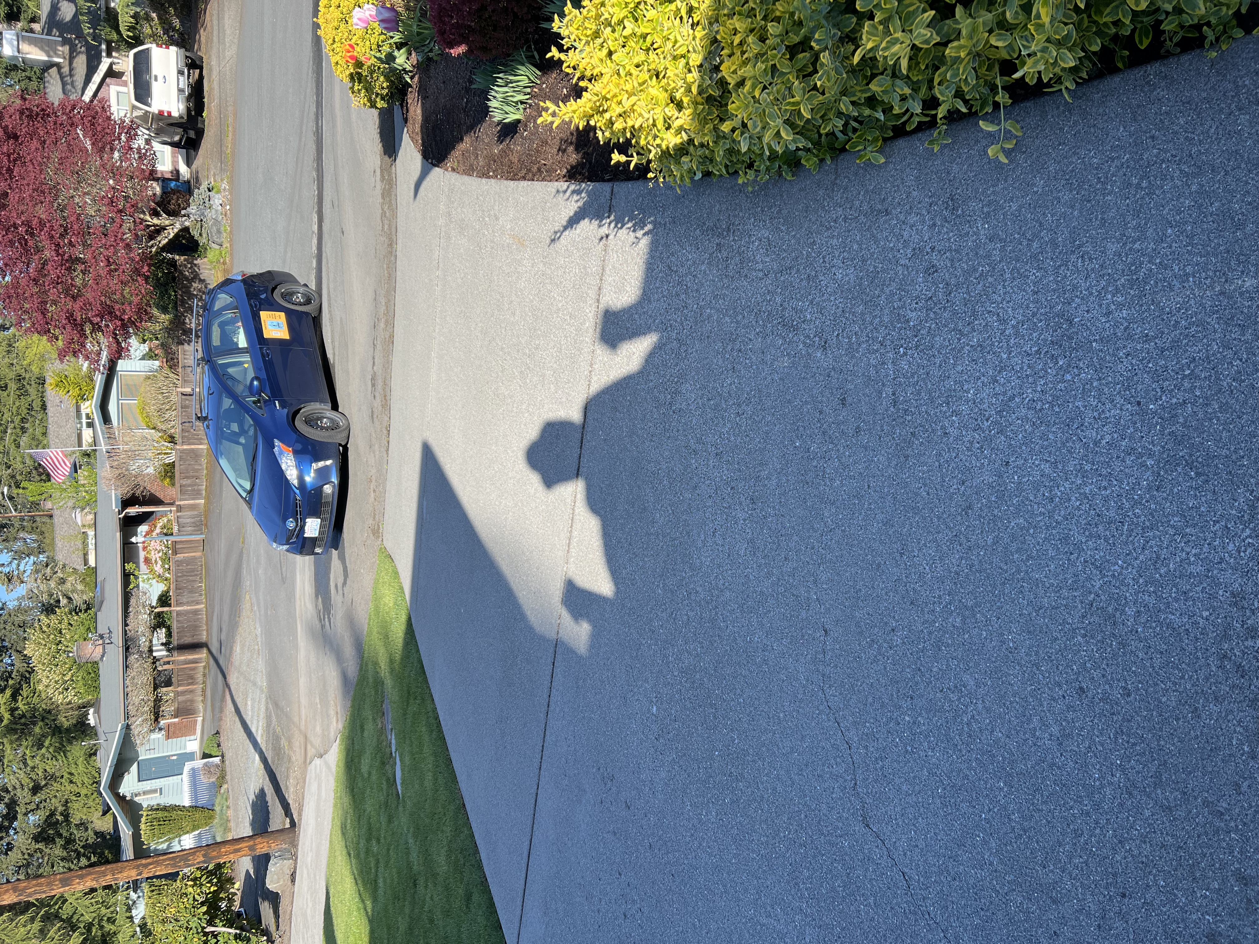 Top Quality Driveway Cleaning Thumbnail